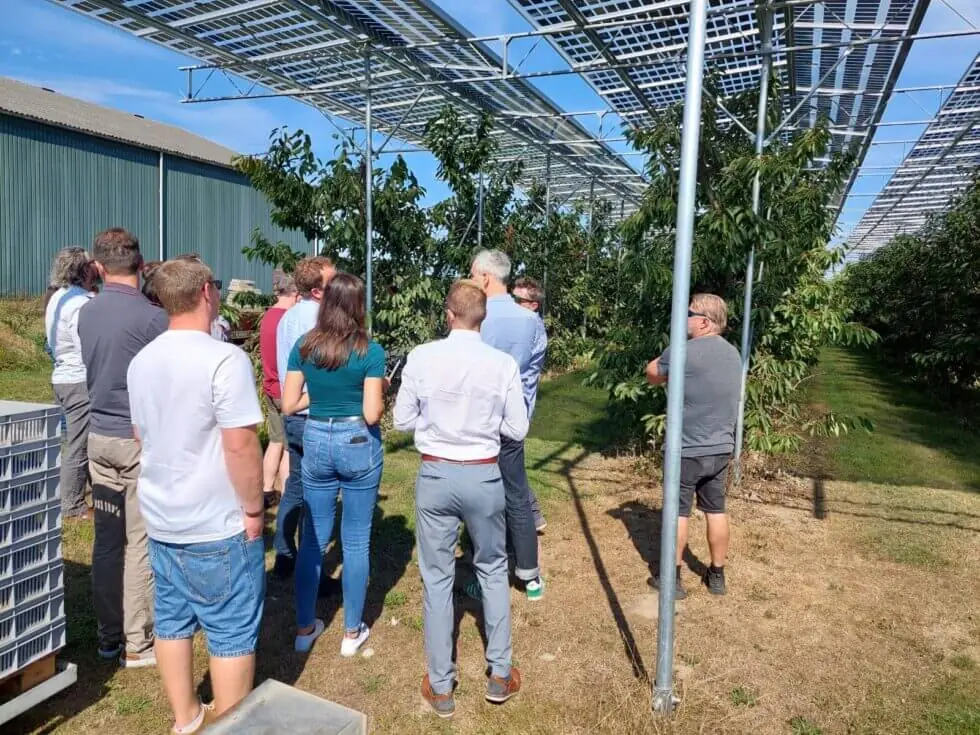 Cesta za agrovoltaikou do Nizozemska