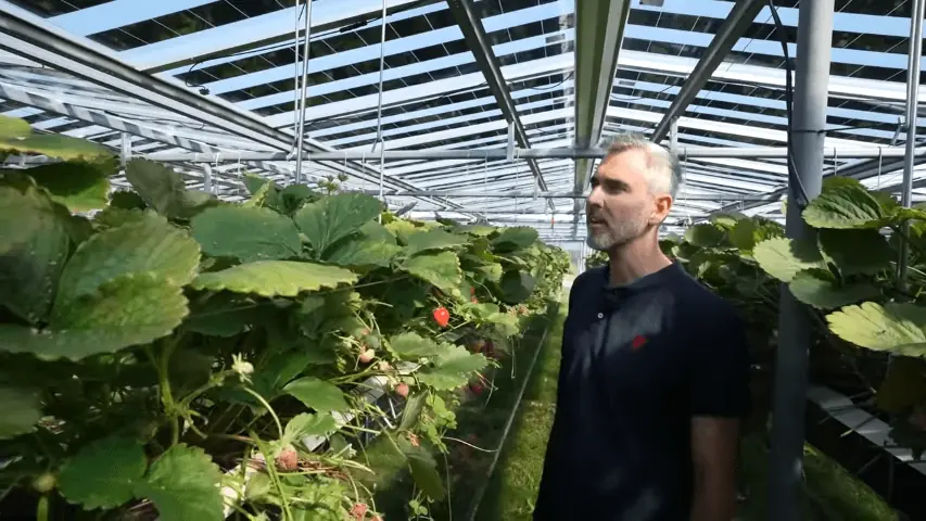 Vláda projednává novelu zákona o ochraně zemědělského půdního fondu. Otevře dveře agrovoltaice