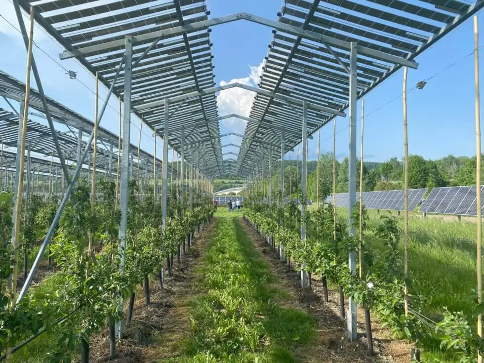 Exkurze agrovoltaika Vídeň