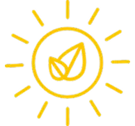 Section icon