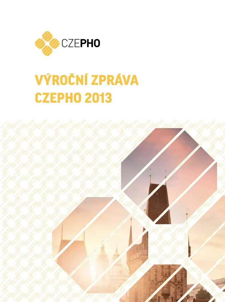 Výroční zpráva 2013